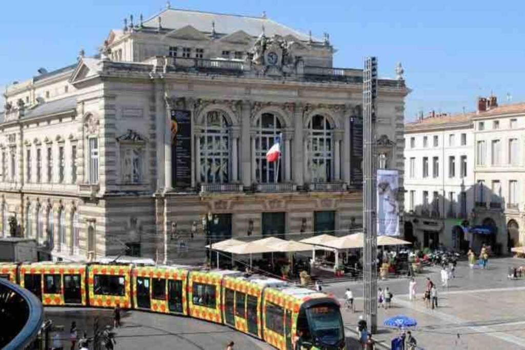 Superbe T2+Parking,Proche Centre Ville & Plages Lejlighed Montpellier Eksteriør billede
